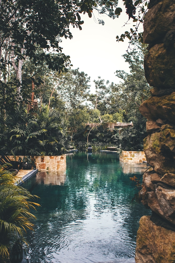 Hotel Bardo Adults Only — Swimming pool in Tulum, Quintana Roo