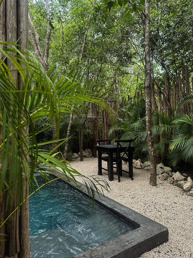 Hotel Bardo Adults Only — Swimming pool in Tulum, Quintana Roo
