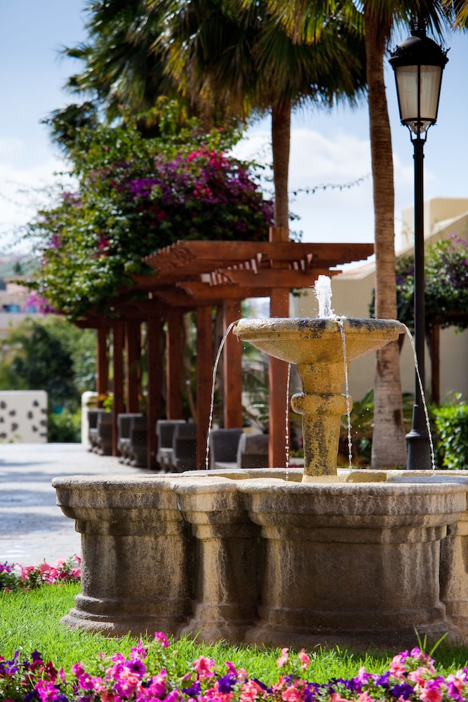 GF Isabel — Attractions in the area in Costa Adeje, Canary Islands