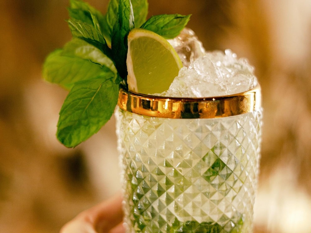Wren Urban Nest — Restaurant & bars in Dublin, Dublin City