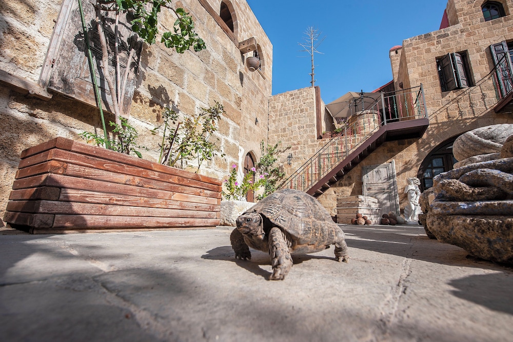 S. Nikolis Historic Boutique Hotel — Attractions in the area in Rhodes Town, South Aegean