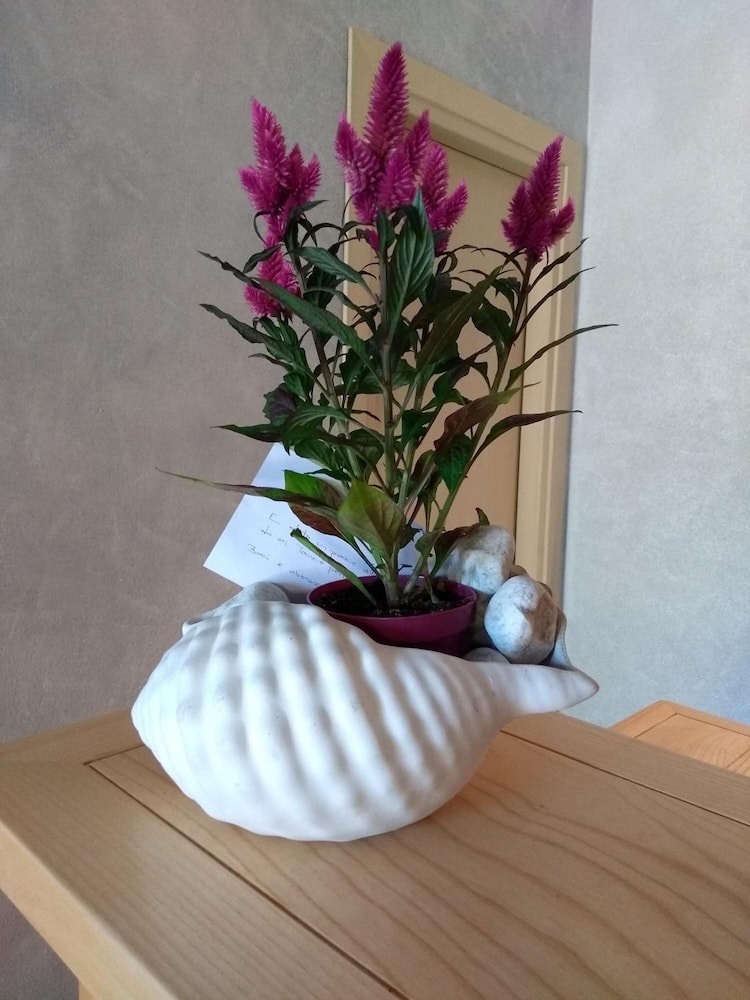 Hotel Lu Pitrali — Restaurant & bars in San Teodoro, Sardinia