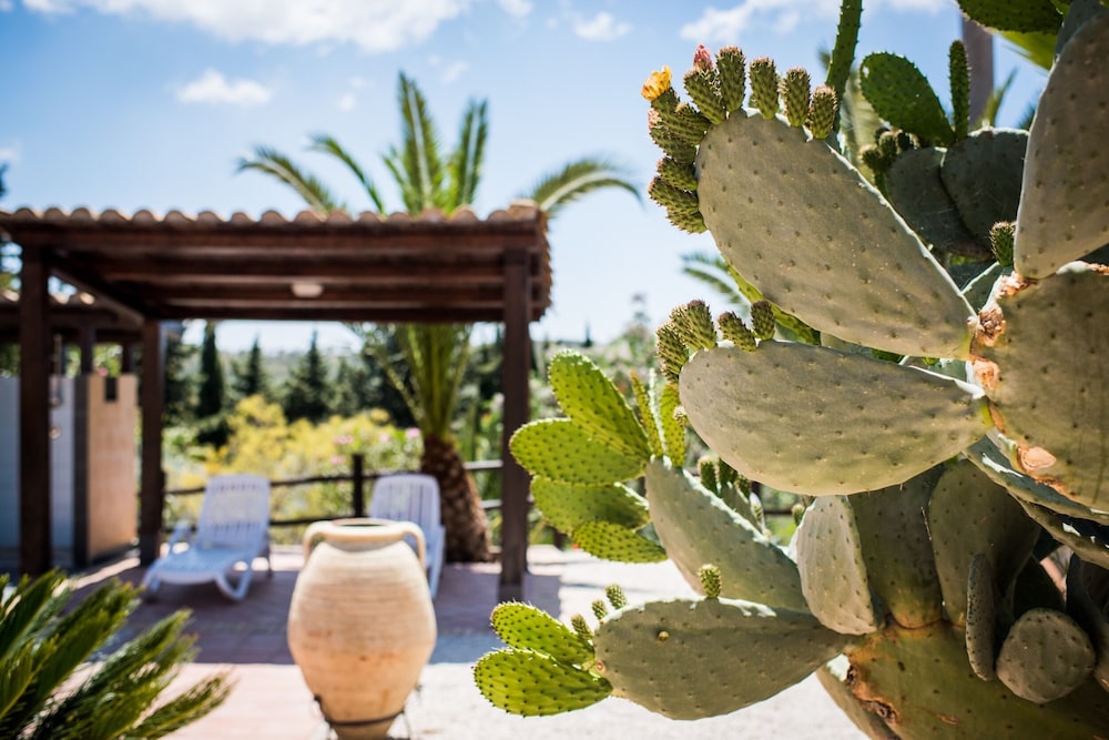 Vecchia Masseria — Attractions in the area in Caltagirone, Sicily