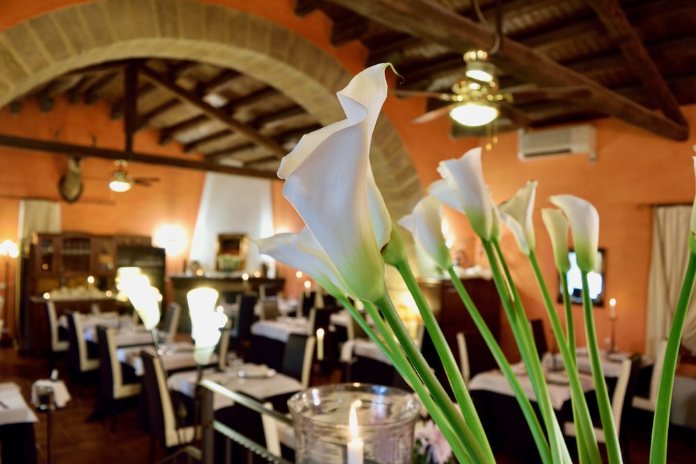 Vecchia Masseria — Restaurant & bars in Caltagirone, Sicily