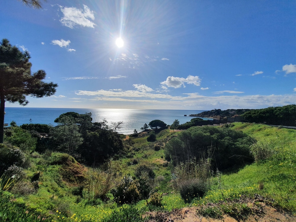 Quinta Pedra dos Bicos — Attractions in the area in Albufeira, Faro
