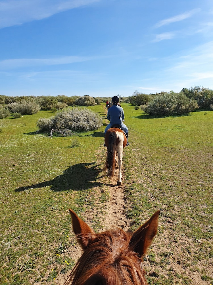 Quinta Pedra dos Bicos — Sports & recreation in Albufeira, Faro