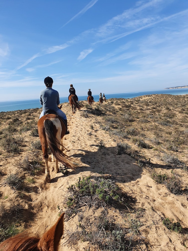 Quinta Pedra dos Bicos — Attractions in the area in Albufeira, Faro