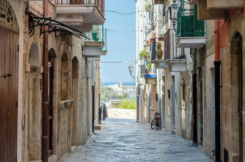 Domatia