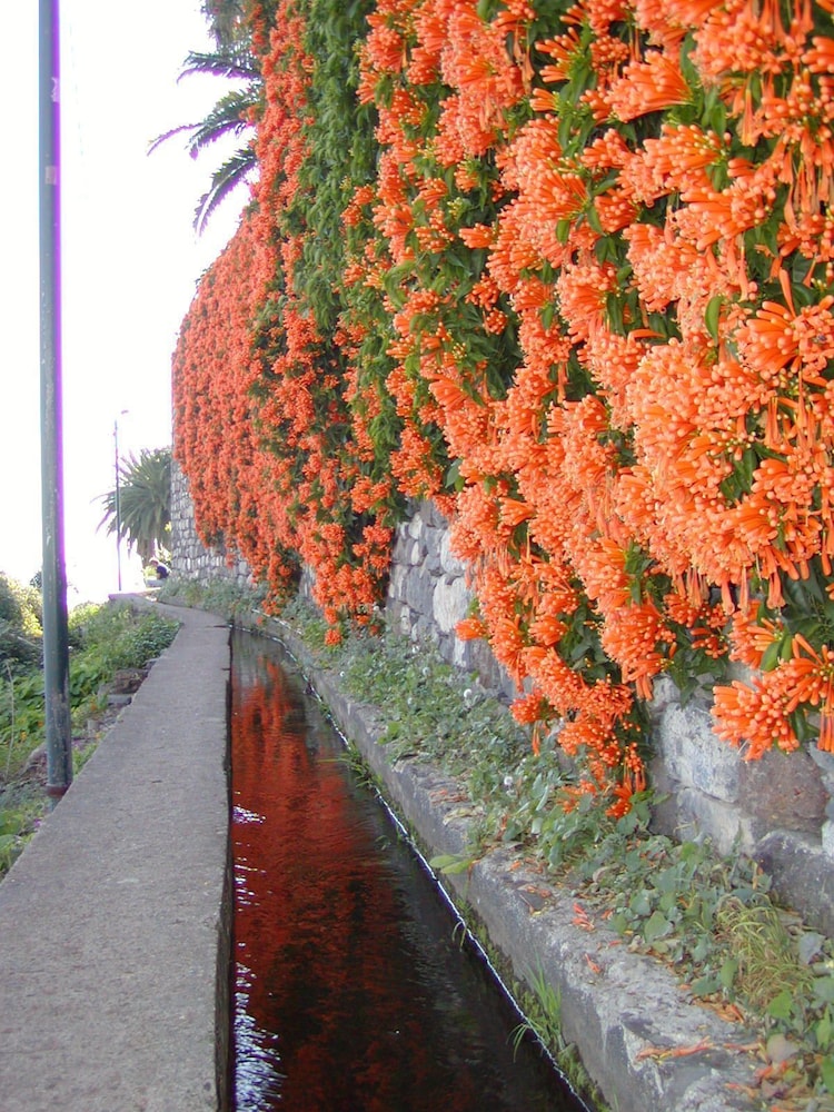 Vila Marta — Attractions in the area in Funchal, Madeira