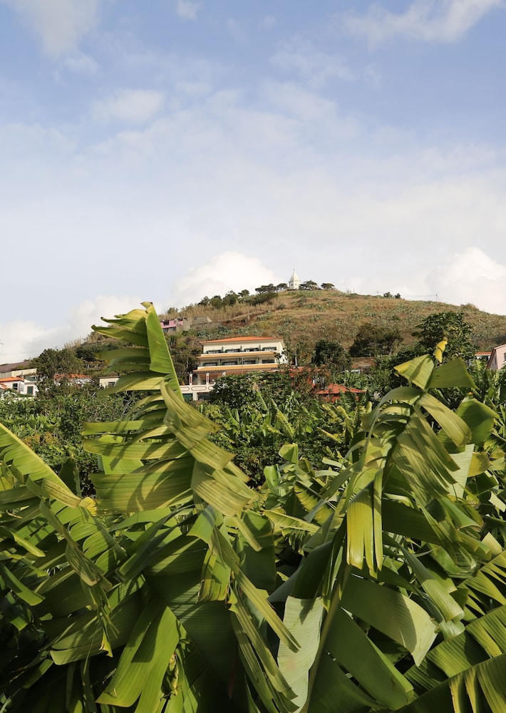 Vila Marta — Attractions in the area in Funchal, Madeira