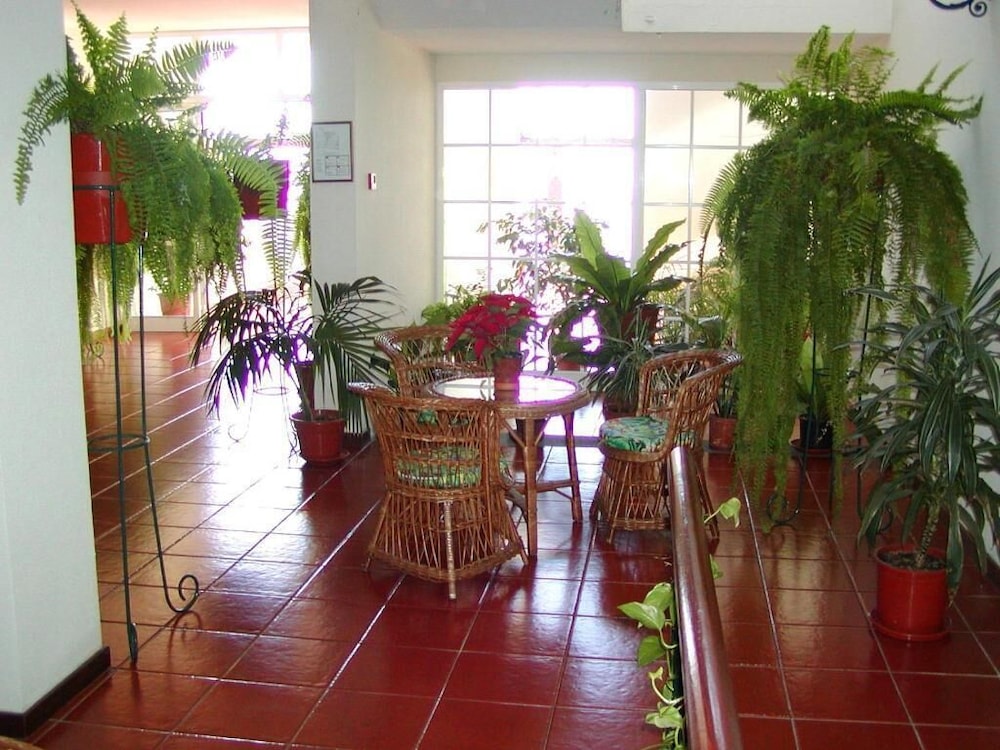 Vila Marta — Restaurant & bars in Funchal, Madeira