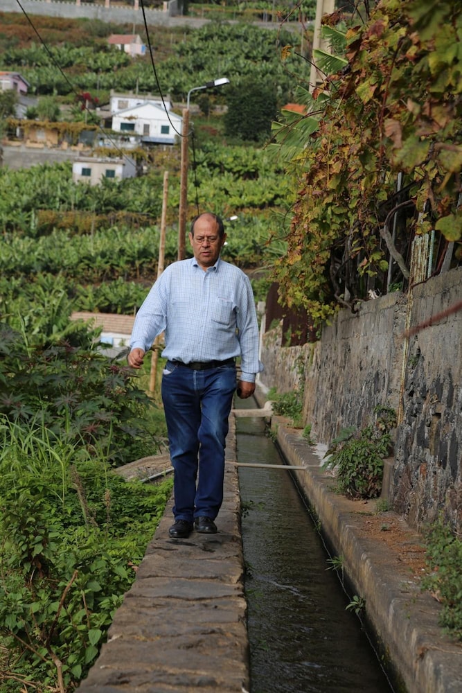 Vila Marta — Attractions in the area in Funchal, Madeira