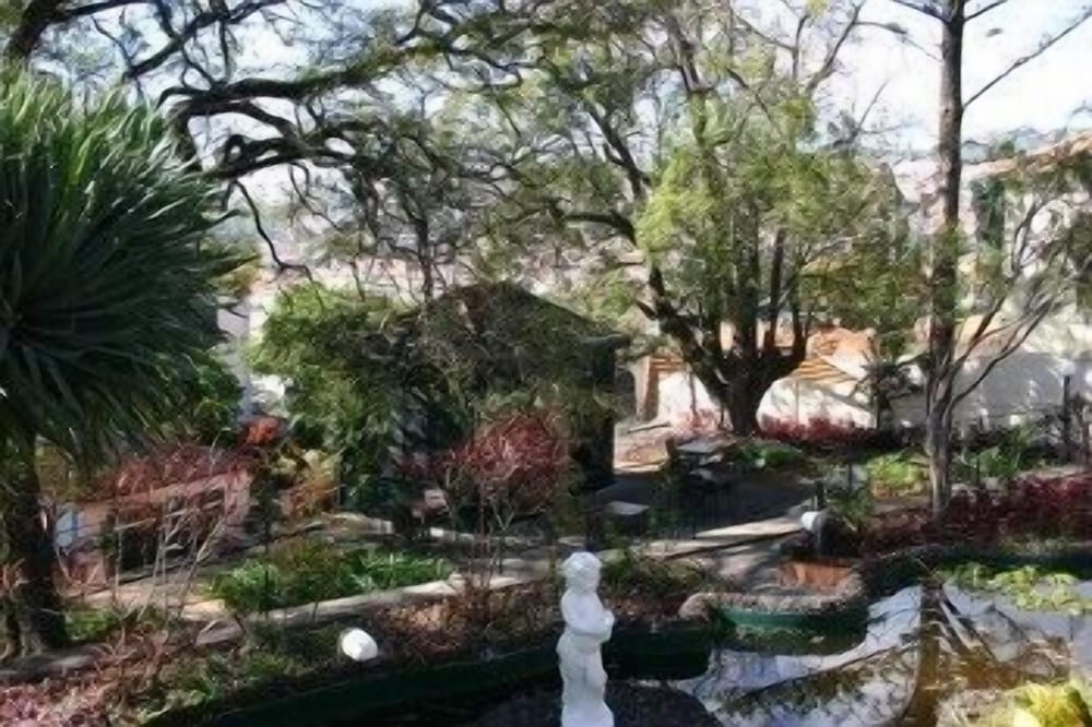 Arts In Hotel Conde Carvalhal — Attractions in the area in Funchal, Madeira