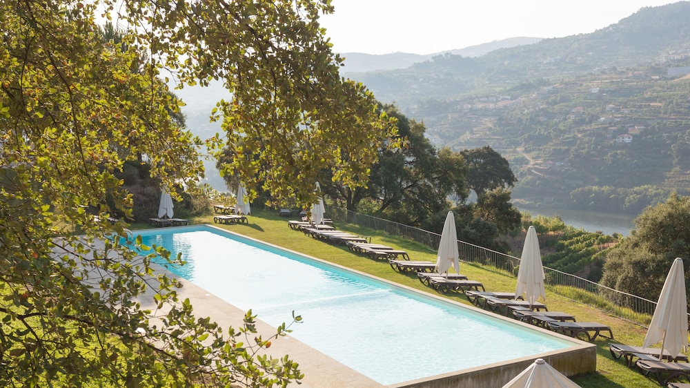 Douro Palace Hotel Resort and Spa - zdjęcie 2