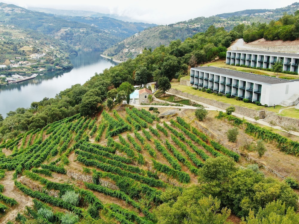 Douro Palace Hotel Resort and Spa - zdjęcie 4