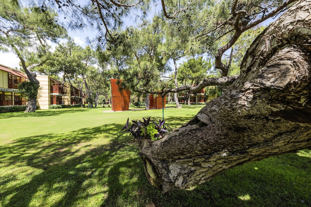 ROBINSON ÇAMYUVA Adults Only- All Inclusive — Sports & recreation in Kemer