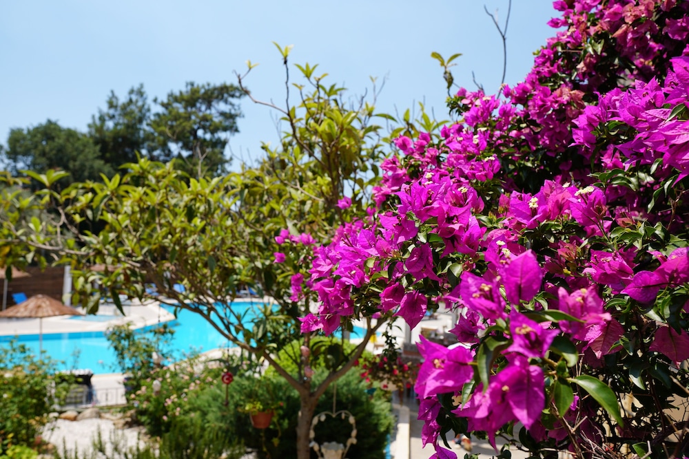 Tunacan Hotel — Hotel building in Fethiye, Mugla