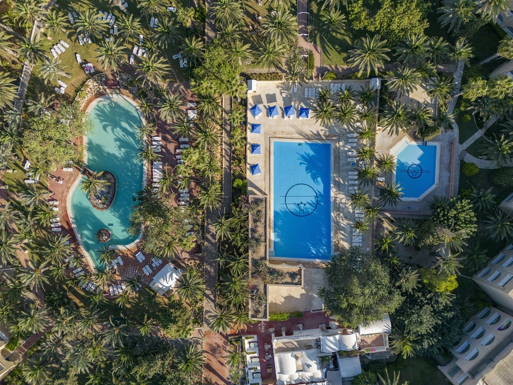 Mediterranee Hammamet - Families and Couples Only — Swimming pool in Hammamet, Nabeul