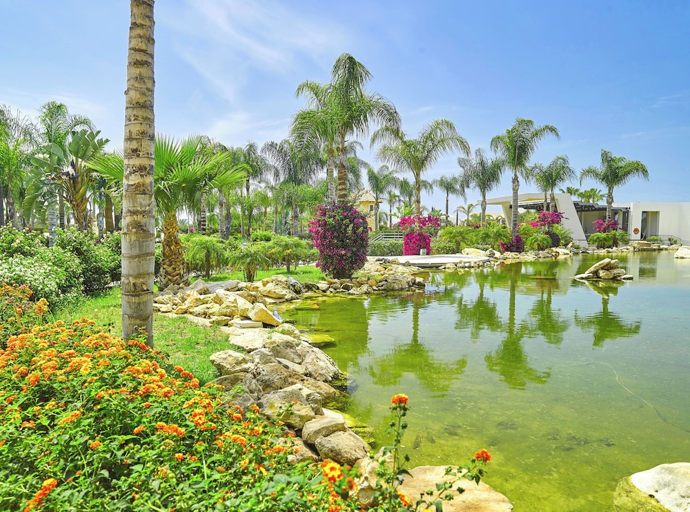 Olympic Lagoon Resort - Ayia Napa — Attractions in the area in Ayia Napa, Famagusta Region