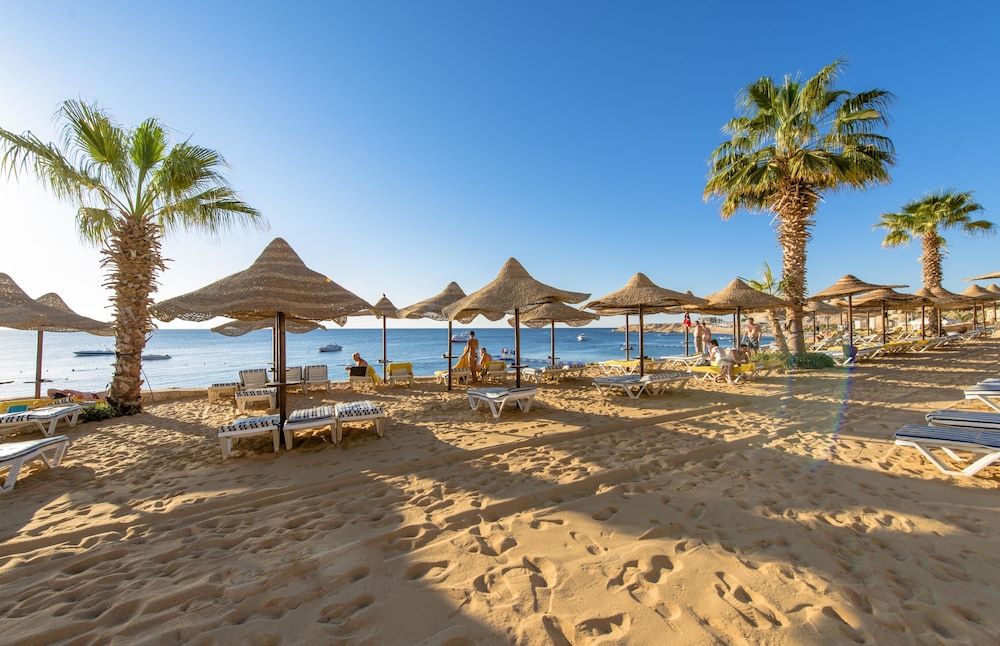 Concorde El Salam Hotel Sharm El Sheikh Sport Hotel — Beach in Sharm El Sheikh, Red Sea