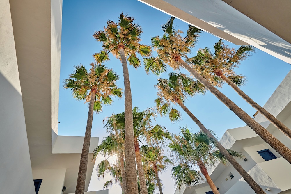 Hipotels Apartamentos Cala Bona — Hotel building in Cala Bona, Balearic Islands