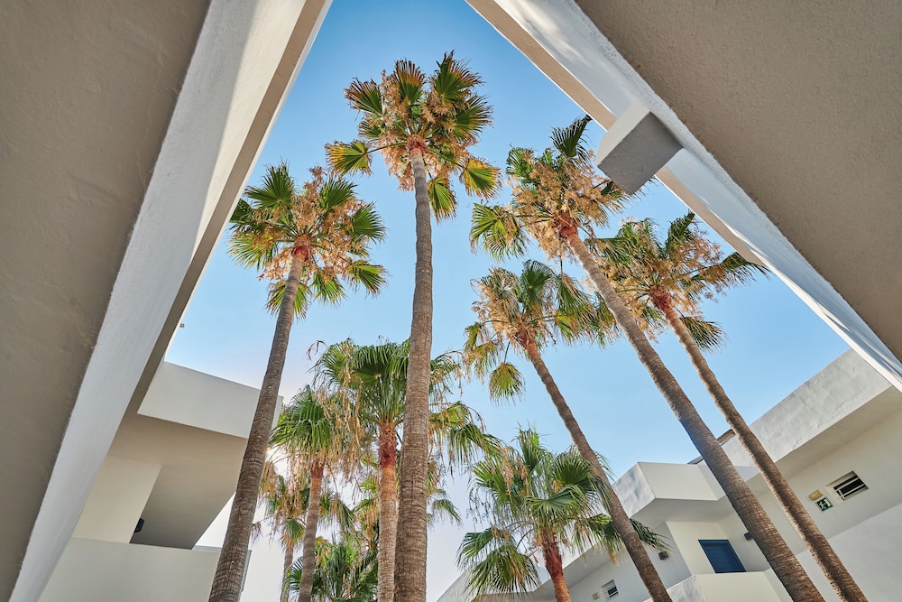Hipotels Apartamentos Cala Bona — Hotel building in Cala Bona, Balearic Islands