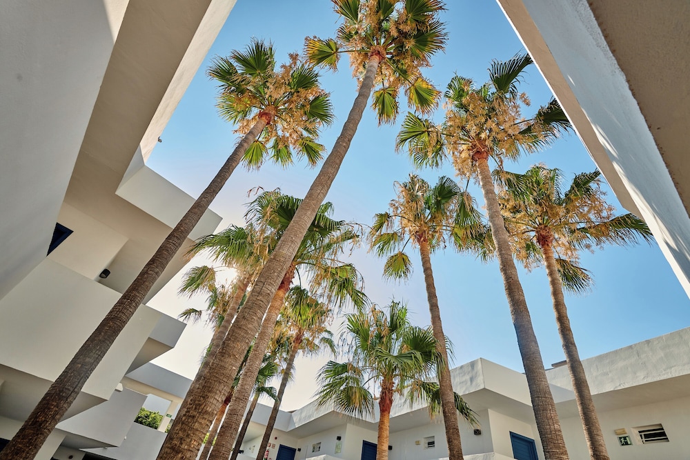 Hipotels Apartamentos Cala Bona — Hotel building in Cala Bona, Balearic Islands
