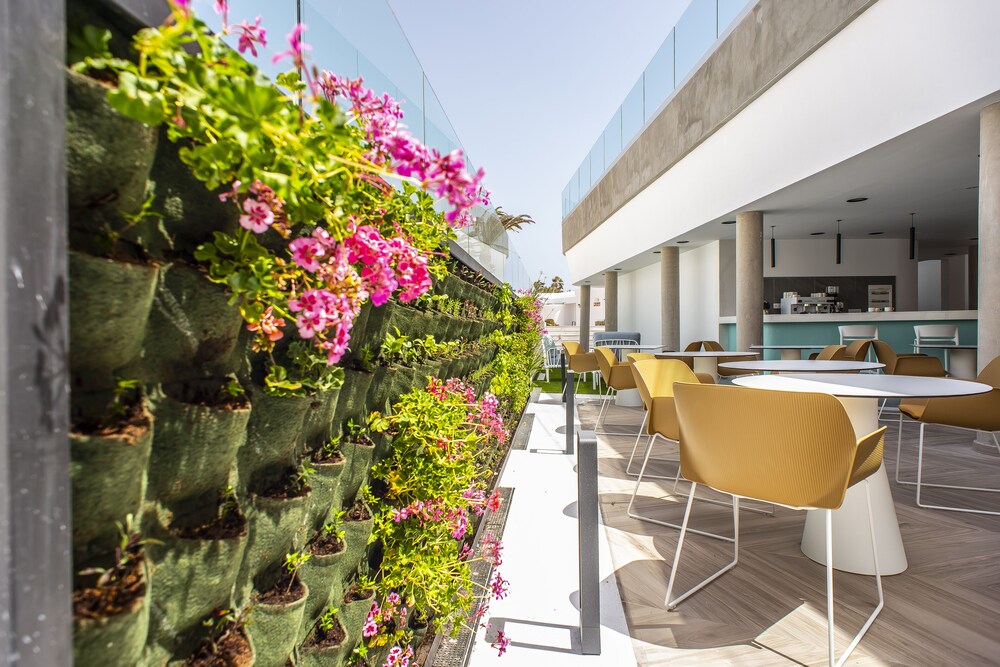 Hotel Taimar — Restaurant & bars in Costa Calma, Canary Islands