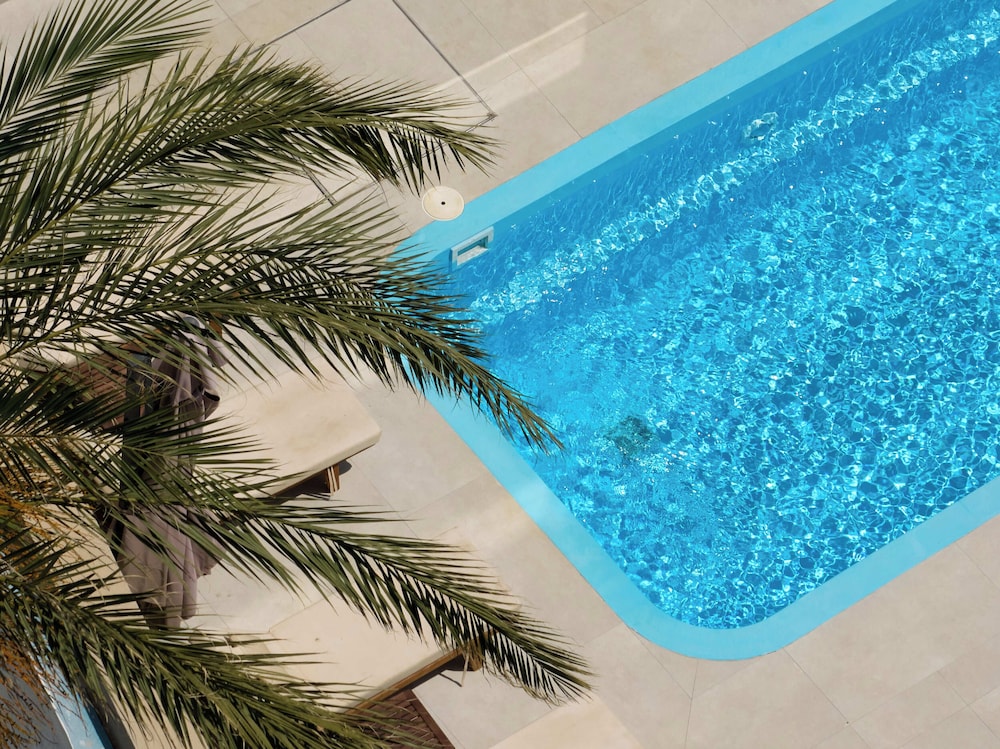 Lotus Rise Hotel — Swimming pool in Hersonissos