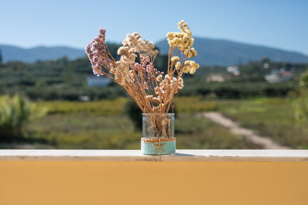 Club Zante Plaza — Attractions in the area in Laganas, Ionian Islands
