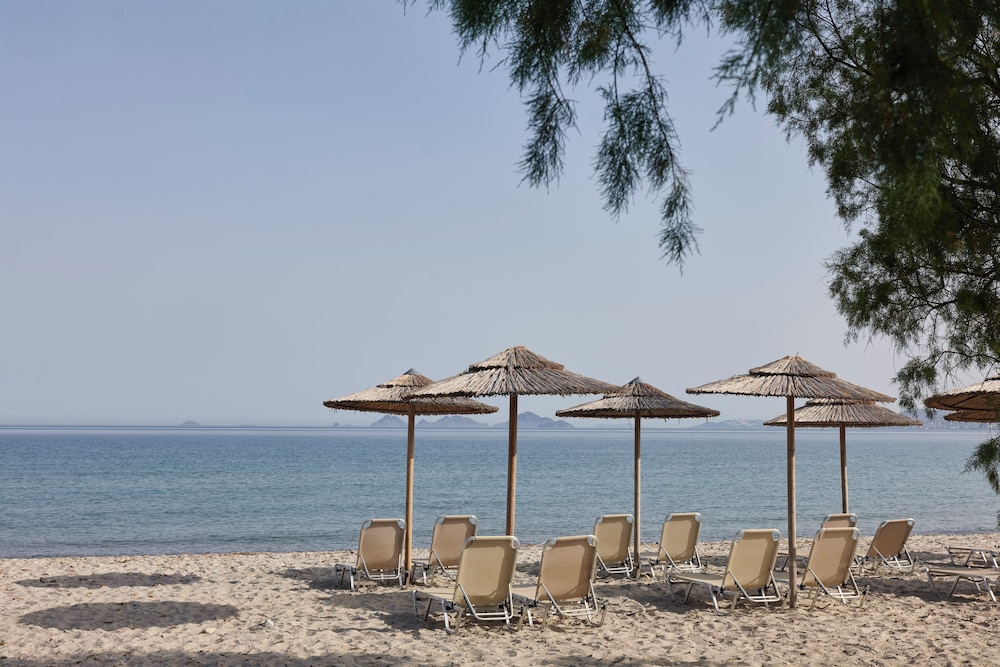 Atlantica Thalassa Hotel - All Inclusive — Beach in Kos Town, South Aegean