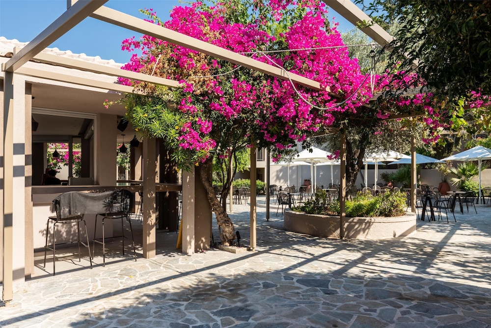 White Olive Premium Lindos - All Inclusive — Restaurant & bars in Pefkos, South Aegean