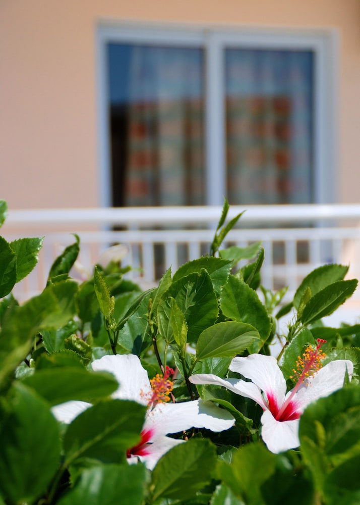 Diagoras Hotel — View in Faliraki, South Aegean