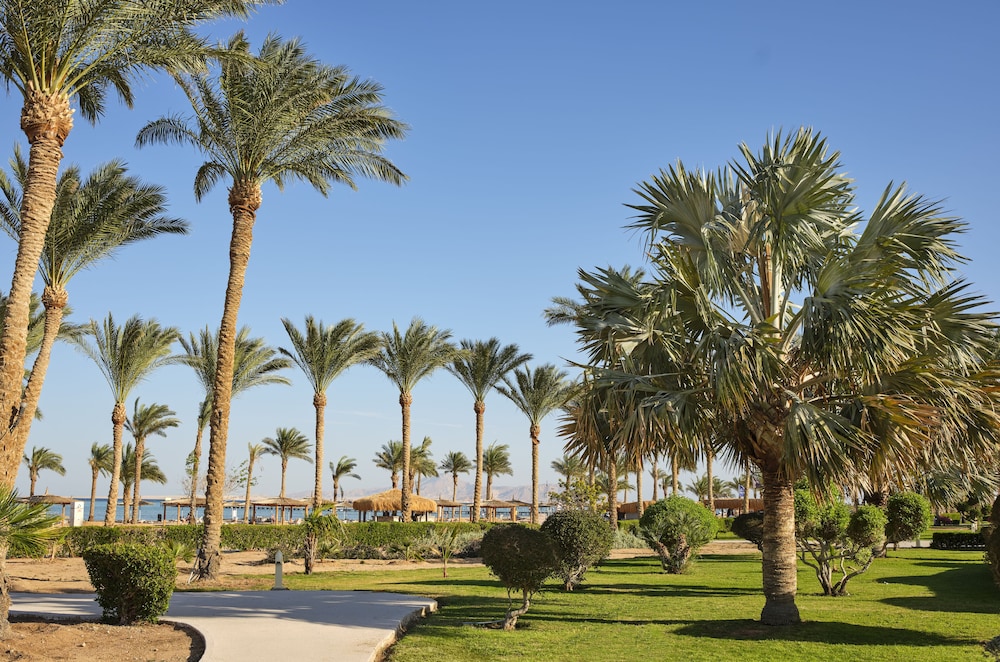Coral Sea Water World Resort - All inclusive — Shared spaces in Sharm El Sheikh, Red Sea
