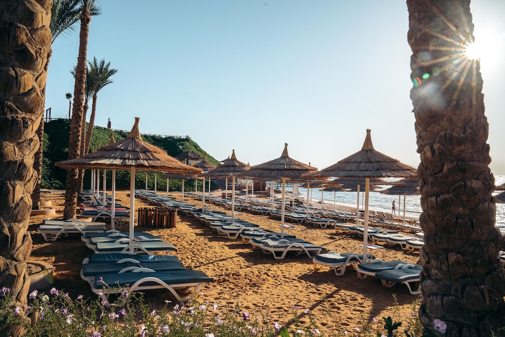 Nubian Island, Families and Couples only — Beach in Sharm El Sheikh, Red Sea