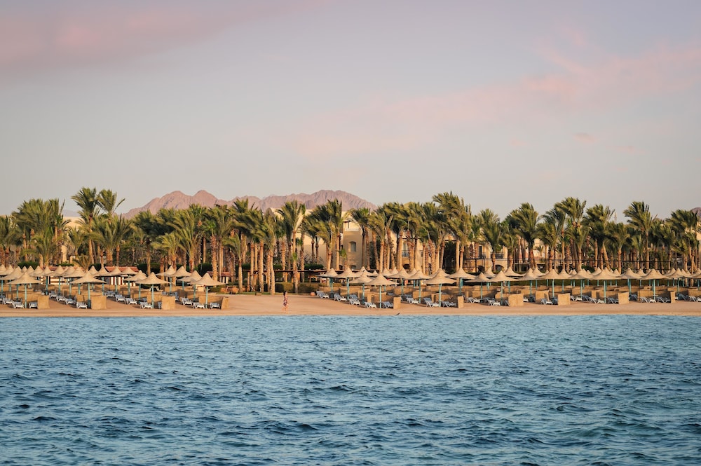 TUI MAGIC LIFE Redsina Sharm El Sheikh — Beach in Sharm El Sheikh, Red Sea