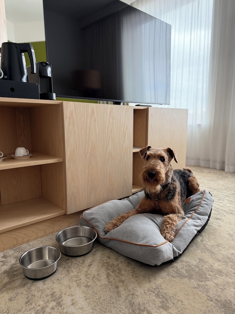 Mercure Katowice Centrum — Hotel rooms in Katowice, Silesian
