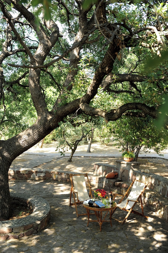 Hotel Delfinia — Sports & recreation in Lesvos Island