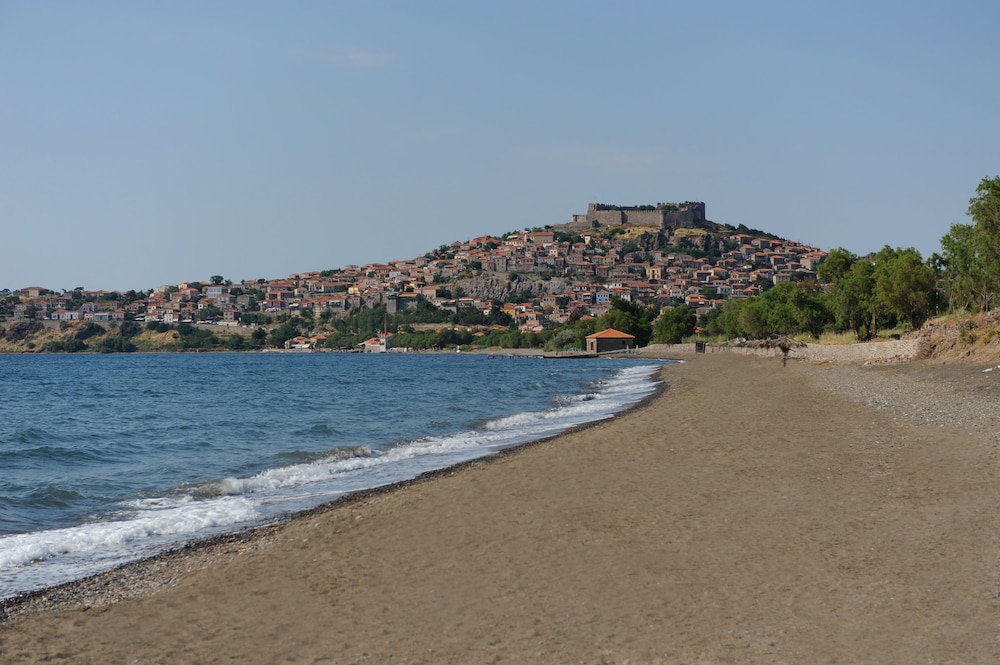 Hotel Delfinia — Beach in Lesvos Island
