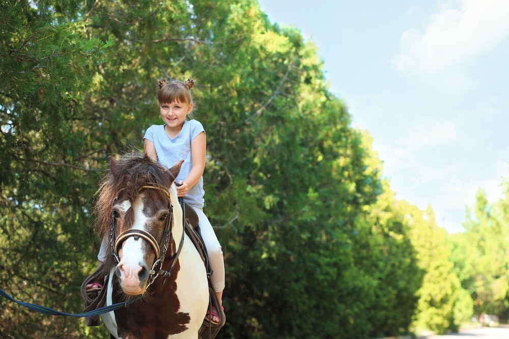 Hotel Delfinia — Attractions for children in Lesvos Island