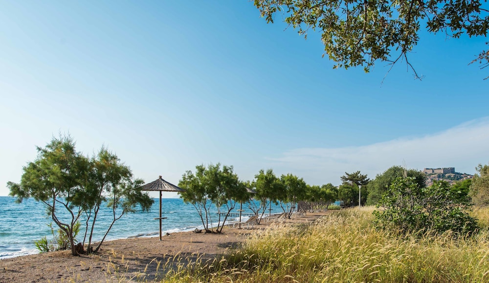 Hotel Delfinia — Beach in Lesvos Island