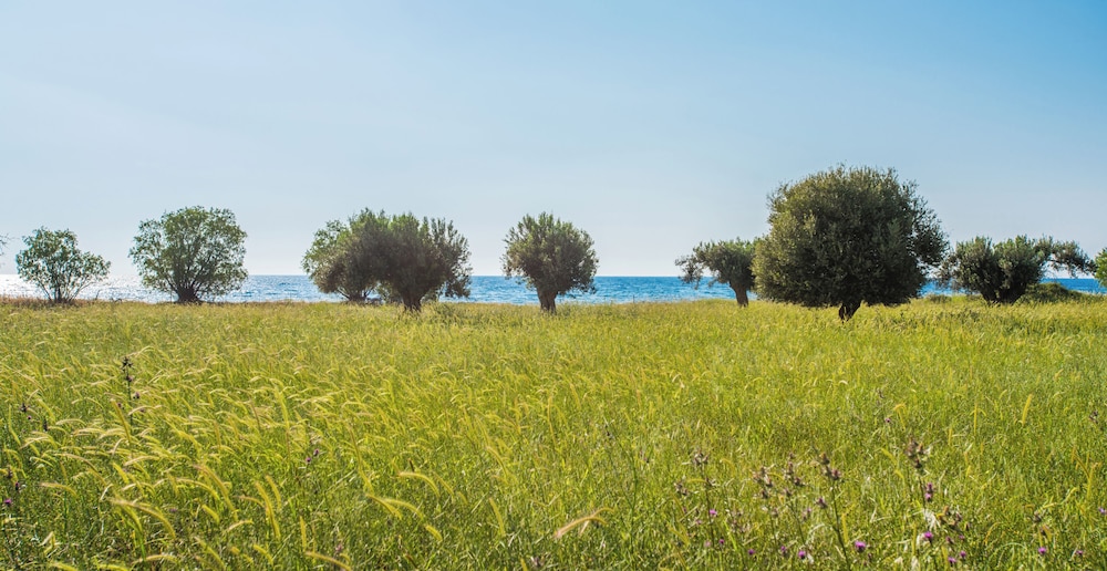 Hotel Delfinia — Beach in Lesvos Island