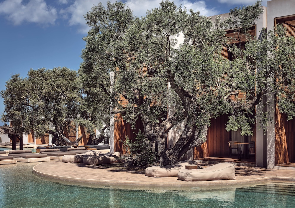 Olea All Suite Hotel, a Member of Design Hotels — Swimming pool in Tsilivi, Ionian Islands