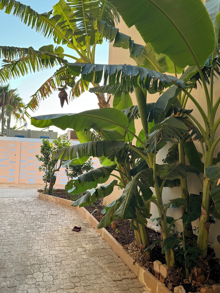 The Noverian Antama Organic Beach Resort Chania with Outdoor Heated Pool — Hotel building in Chania