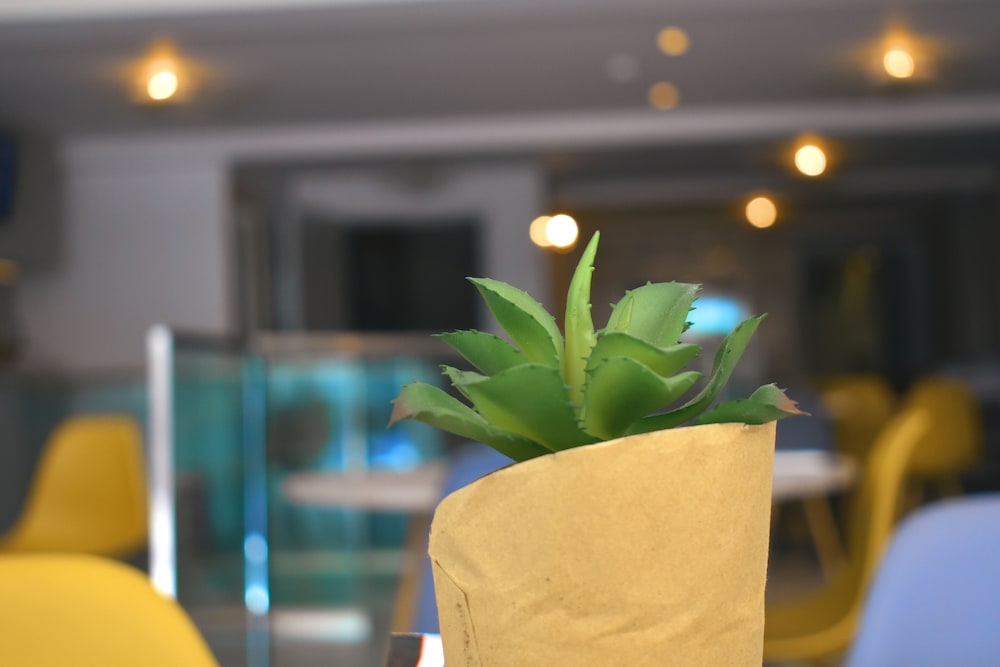 Athenian Montaza Hotel — Restaurant & bars in Athens, Attica