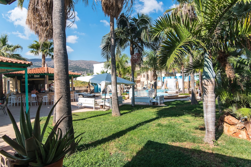 Oasis Studios — Swimming pool in Malia