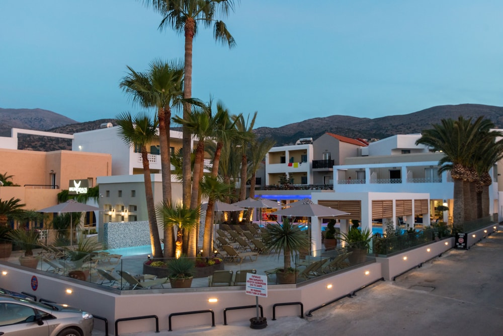 Dedalos Hotel — Swimming pool in Malia