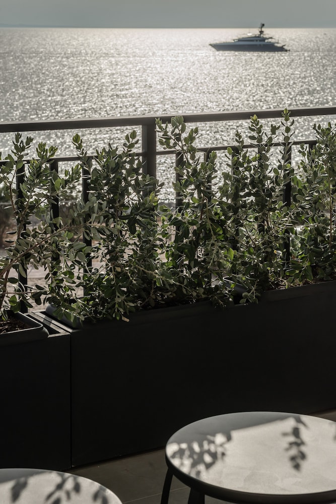 Bitzaro Boutique Hotel — Restaurant & bars in Zante Town, Ionian Islands
