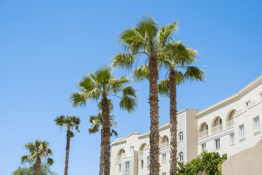 Mangia's Selinunte Resort — Hotel building in Castelvetrano, Sicily