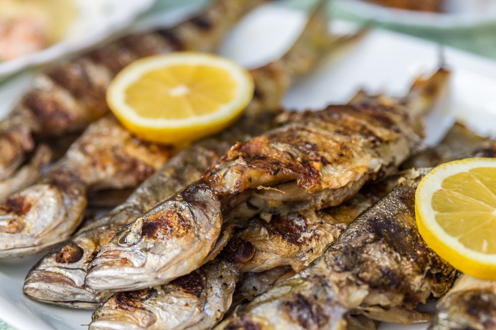 Venera Hotel — Restaurant & bars in Sveti Vlas, Burgas Region